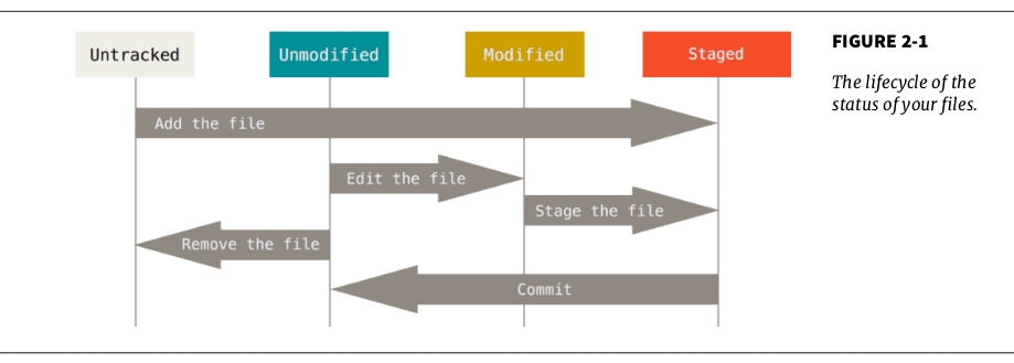 git_file_status_not_found